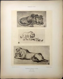 【伦勃朗】1896年 珂罗版 版画《Etudes pour des lions》纸张36.5×29厘米