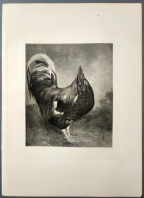 【汉斯·托马】1922年 铜版画 照相凹版《公鸡 Hahn》附资料页，汉斯·托马（Hans Thoma）德国画家