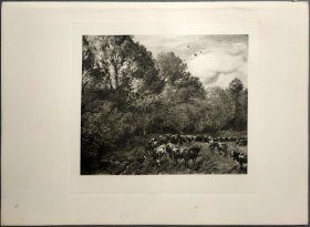【汉斯·托马】1922年 铜版画 照相凹版《休憩的牛群 Ruhherde》附资料页，汉斯·托马（Hans Thoma）德国画家