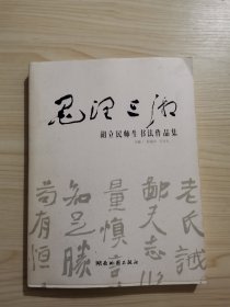 墨润三湘 胡立民师生书法作品集