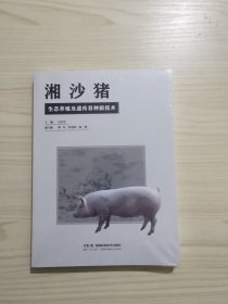 湘沙猪生态养殖及遗传育种新技术