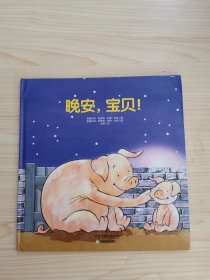 常青藤绘本·大师名作-晚安，宝贝！