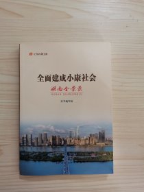 全面建成小康社会湖南全景录（全景式、立体化、多维度展现全面建成小康社会湖南的具体实践。）