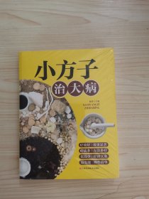 小方子治大病   中医书籍养生偏方大全民间老偏方美容养颜常见病防治 保健食疗偏方秘方大全小偏方老偏方中医健康养生保健疗法