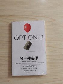 另一种选择