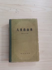 人类的由来