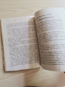 解放战争湖南敌后游击战纪实