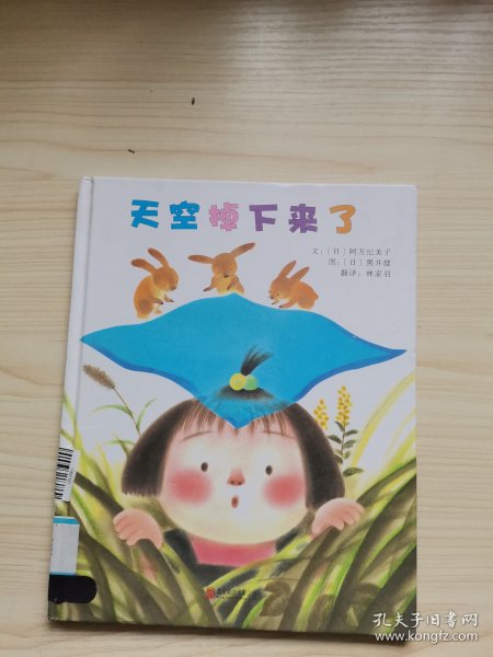 天空掉下来了（启发绘本馆出品）