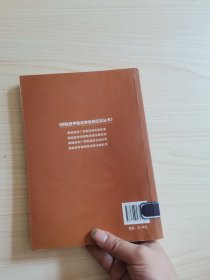 解放战争湖南敌后游击战纪实