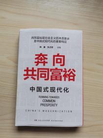 奔向共同富裕（读懂共同富裕，看清未来中国！深入浅出，雅俗共赏，两大TOP级智库联袂巨献，通俗理论重磅大作！）