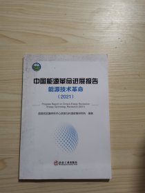 中国能源革命进展报告（2021）