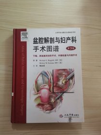 盆腔解剖与妇产科手术图谱（下卷）：其他相关妇科手术、内镜检查与内镜手术（第3版）