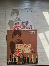 国际象棋战术组合集萃（上下）