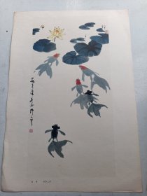 吴作人  金鱼画片