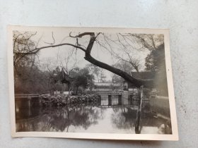 4  约八十年代  建筑风景照片