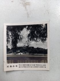 老照片 北京风景  白塔