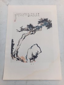 潘天寿画片  松石