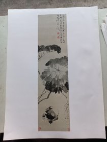 4k 印刷品 故宫藏画 徐渭