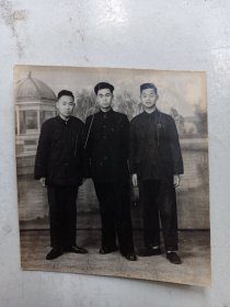 1952年   照片3人 合照