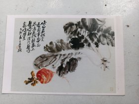 明信片   吴昌硕  画