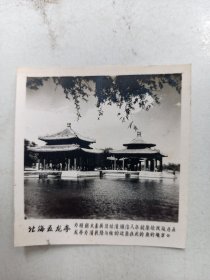 老照片 北京风景  五龙亭