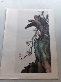 苍松 画片 1张