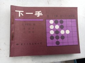 围棋书    下一手   第27 册