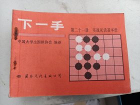 围棋书    下一手   第 21册