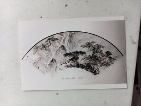 吴镜汀  扇面画 照相 1张