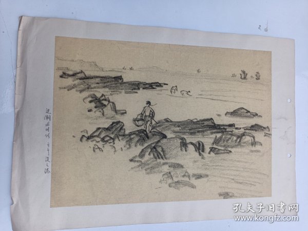 约六十年代   连云港  退潮素描画    无款