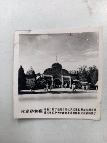 老照片 北京  动物园
