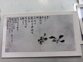 15号    高其佩 画照片