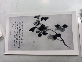 9号    高其佩 画照片