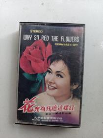 磁带  花儿为什么这样红