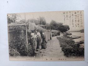 日本   老明信片 带邮票  字治名胜   茶摘