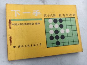 围棋书    下一手   第18册