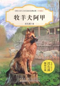 动物小说大王沈石溪自选精品集.升级版.牧羊犬阿甲