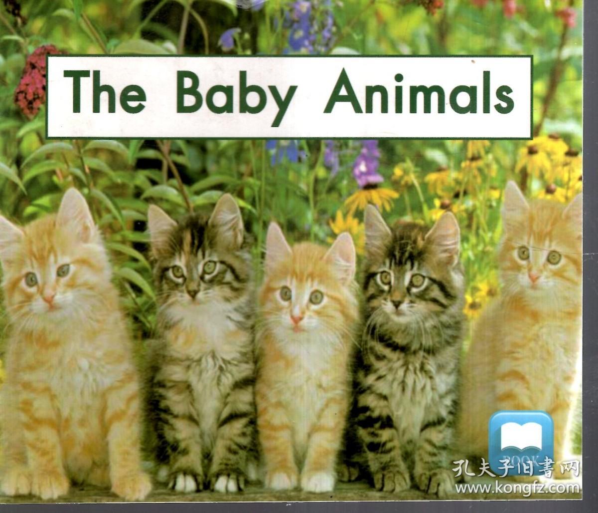 1.The Baby Animals、2.Over the River、3.My Big Bear、4.Making Soup、5.My Family、6.Playing Together、6.At the Farm、7.Going on Vacation、8.Hiding、9.Hop Hop Hop、10.Fun at school、11.My Big Brother.11册合售