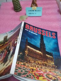 BRUSSELS AND ITS BEAUTIES(布鲁塞尔： 而它的美丽 )