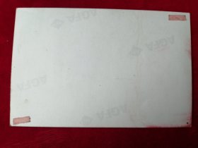 彩色照片 合影照 军人和学生合影 ...