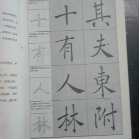 历代名家碑帖技法精解：褚遂良雁塔圣教序（放大版）