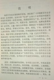 中国新文学名著提要