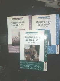 独立审计案例分析丛书   【资产评估及验资案例分析    基本建项目审汁案例分柝  内部控制与审计风险案例分柝】合售