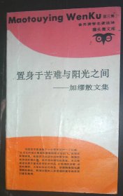 置身于苦难与阳光之间   加缪散文集