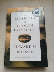 The Meaning of Human Existence