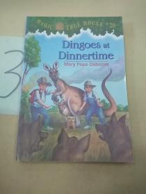 Dingoes at Dinnertime (Magic Tree House #20)神奇树屋20：晚餐时间的丁格斯