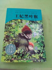 动物小说大王沈石溪：王妃黑叶猴。