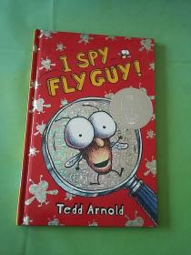 I Spy Fly Guy![视觉大发现：苍蝇小子]。