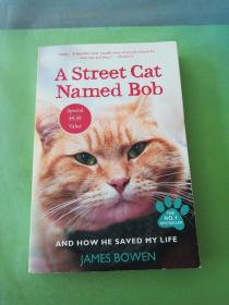 A Street Cat Named Bob(英文原版）.