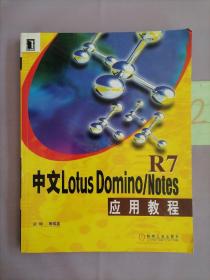 中文Lotus Domino/Notes R7应用教程